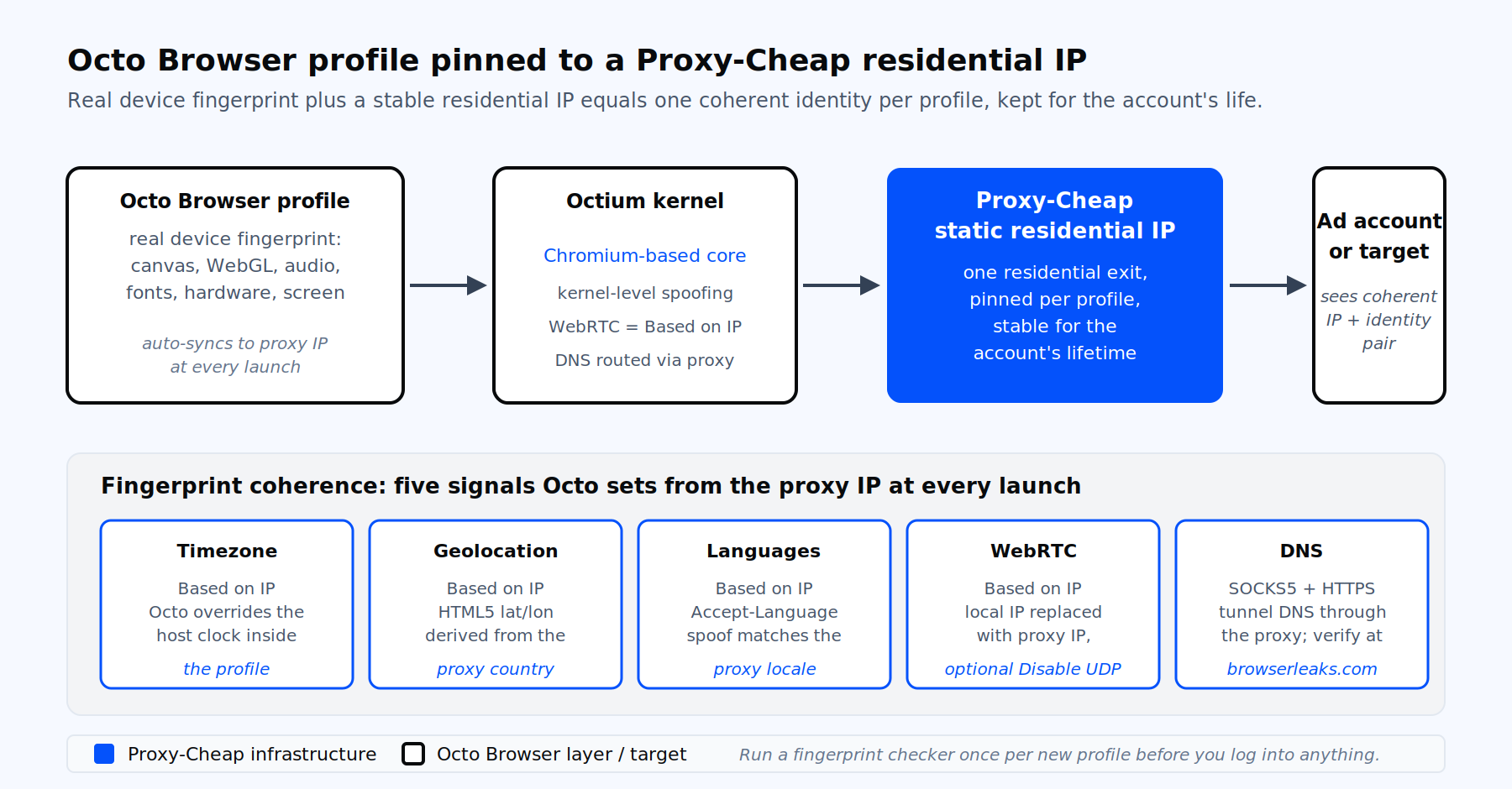 Octo Browser architecture diagram with fingerprint coherence checklist for timezone, geolocation, language, WebRTC, and DNS