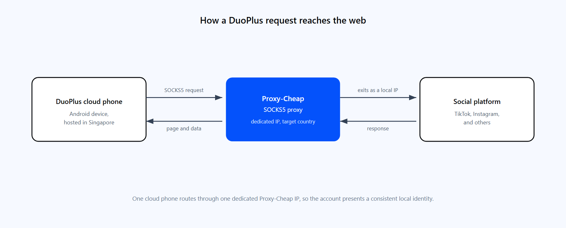 A DuoPlus cloud phone routing its traffic through a Proxy-Cheap SOCKS5 proxy to a social platform and back.