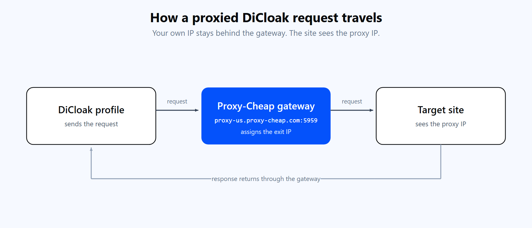 A DiCloak browser profile routing its request through the Proxy-Cheap gateway to a target site and back, so the site sees the proxy IP.