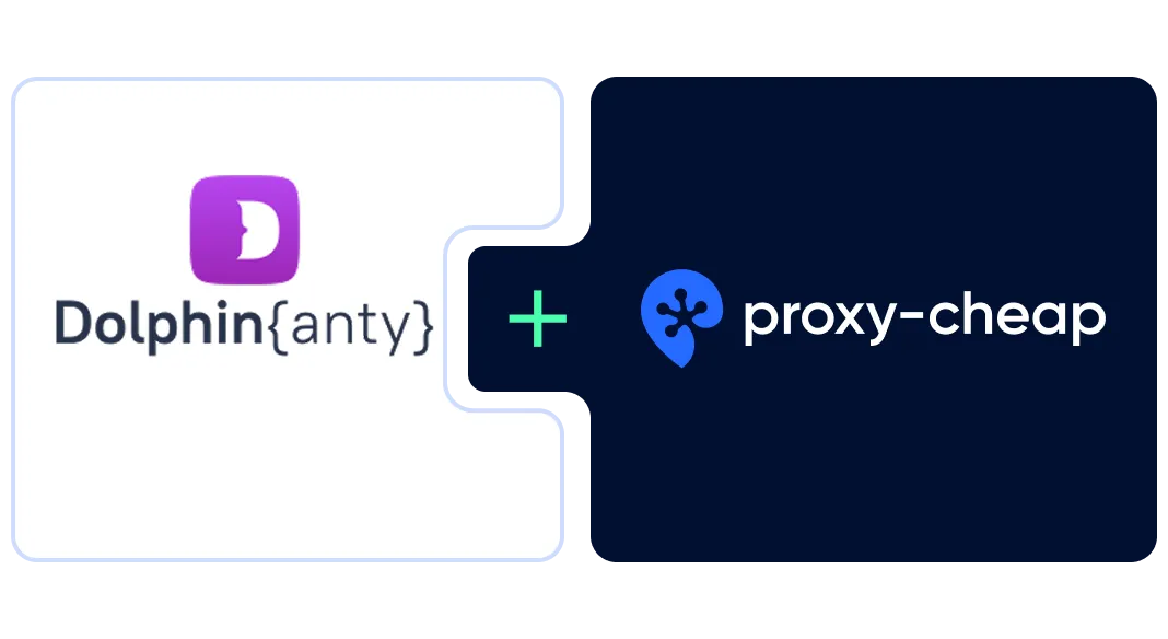 How to set up a Dolphin Anty proxy: complete 2026 guide