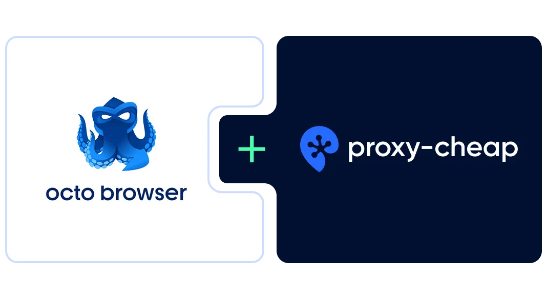 How to set up Octo Browser: the complete 2026 setup guide
